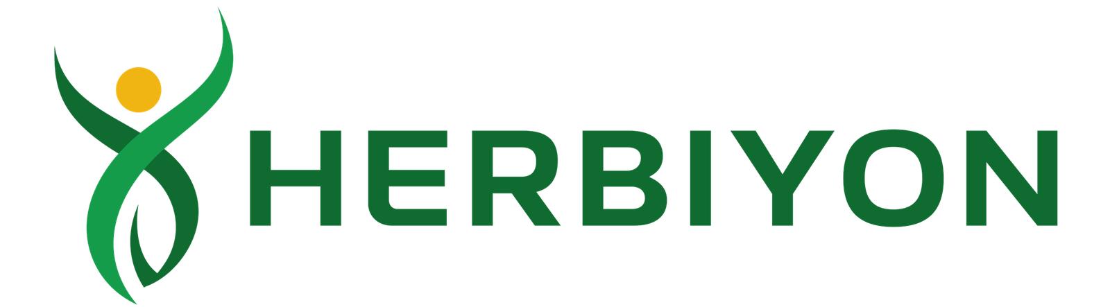 Logo HERBIYON